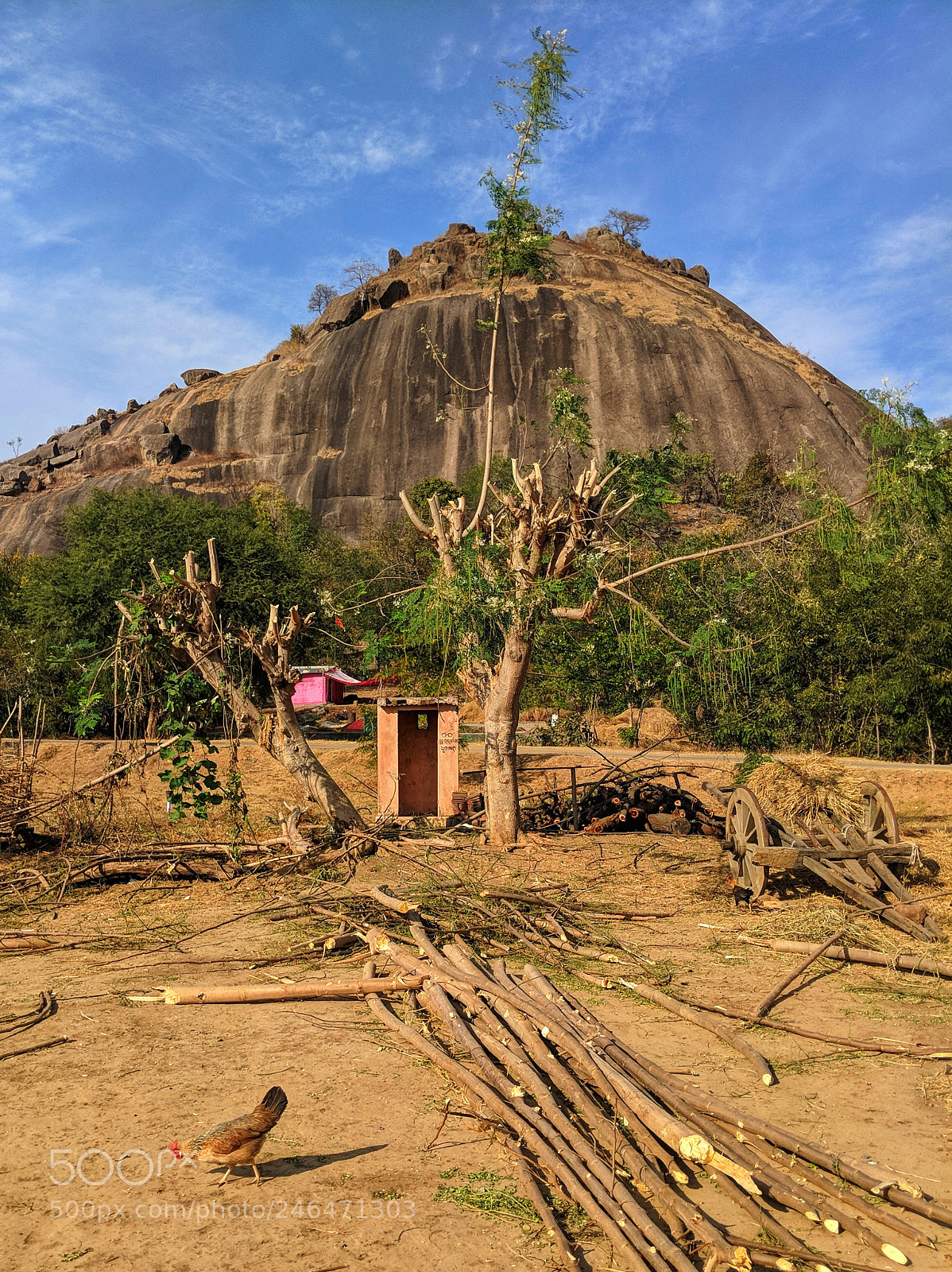 Google Pixel 2 sample photo. Exquisite_kalahandi photography
