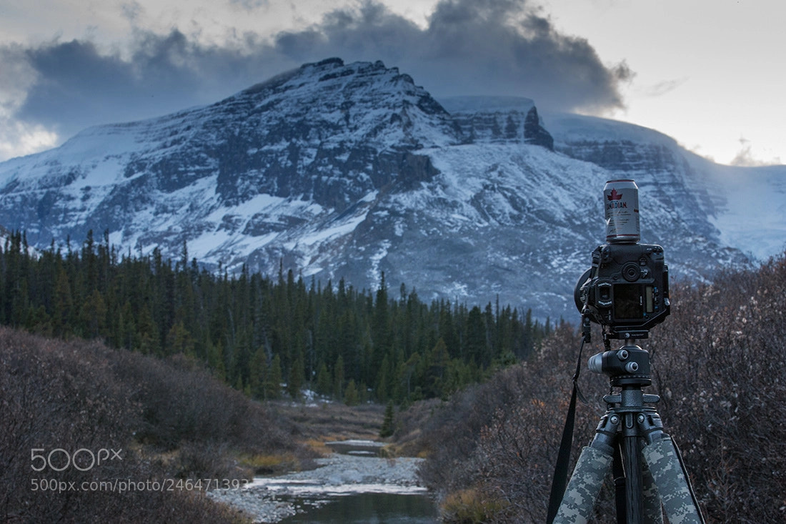 Canon EOS-1D X sample photo. Canadian camera level photography