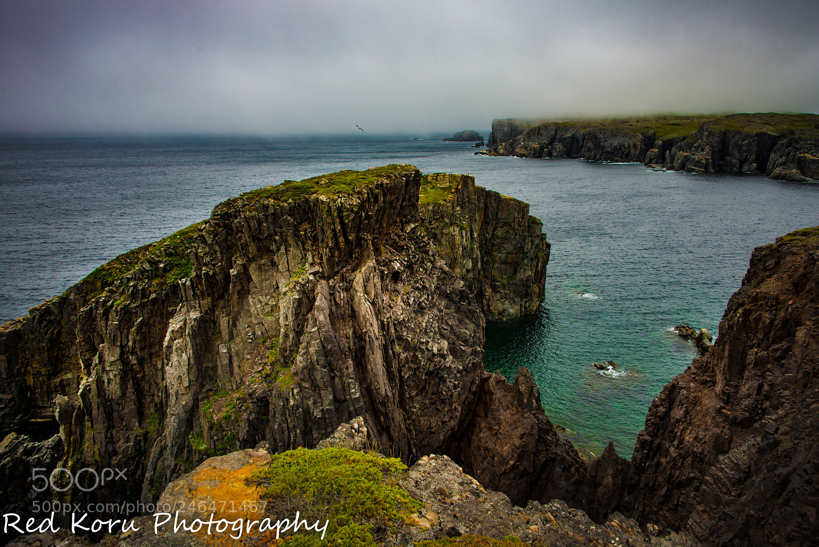 Nikon D610 sample photo. Fog rolling in photography
