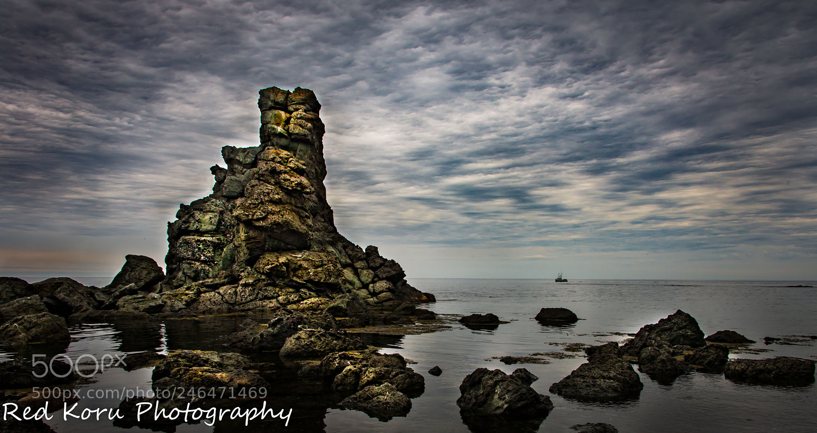 Nikon D610 sample photo. Rocky photography
