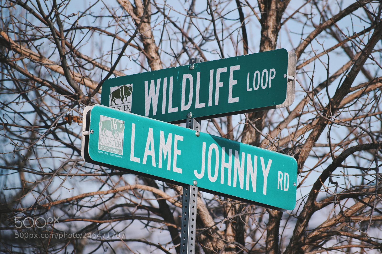 Nikon D5600 sample photo. Street sign photography
