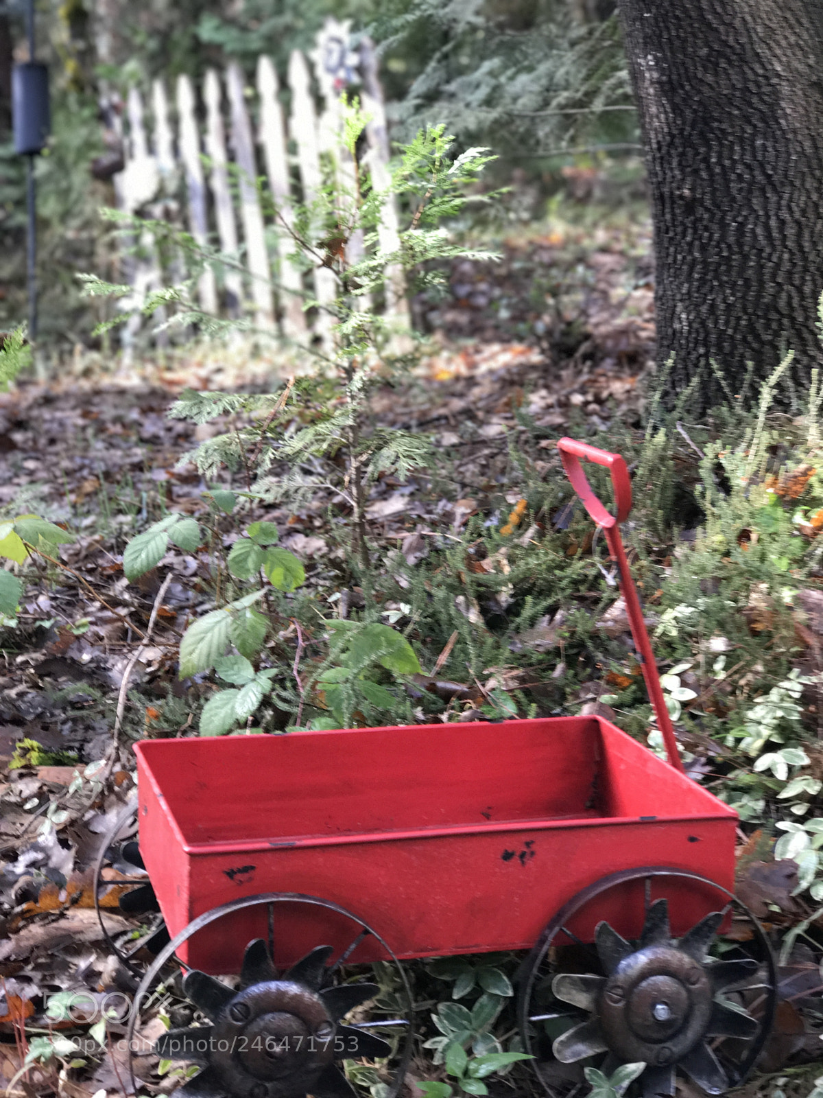 Apple iPhone 7 Plus sample photo. Red wagon in mother photography