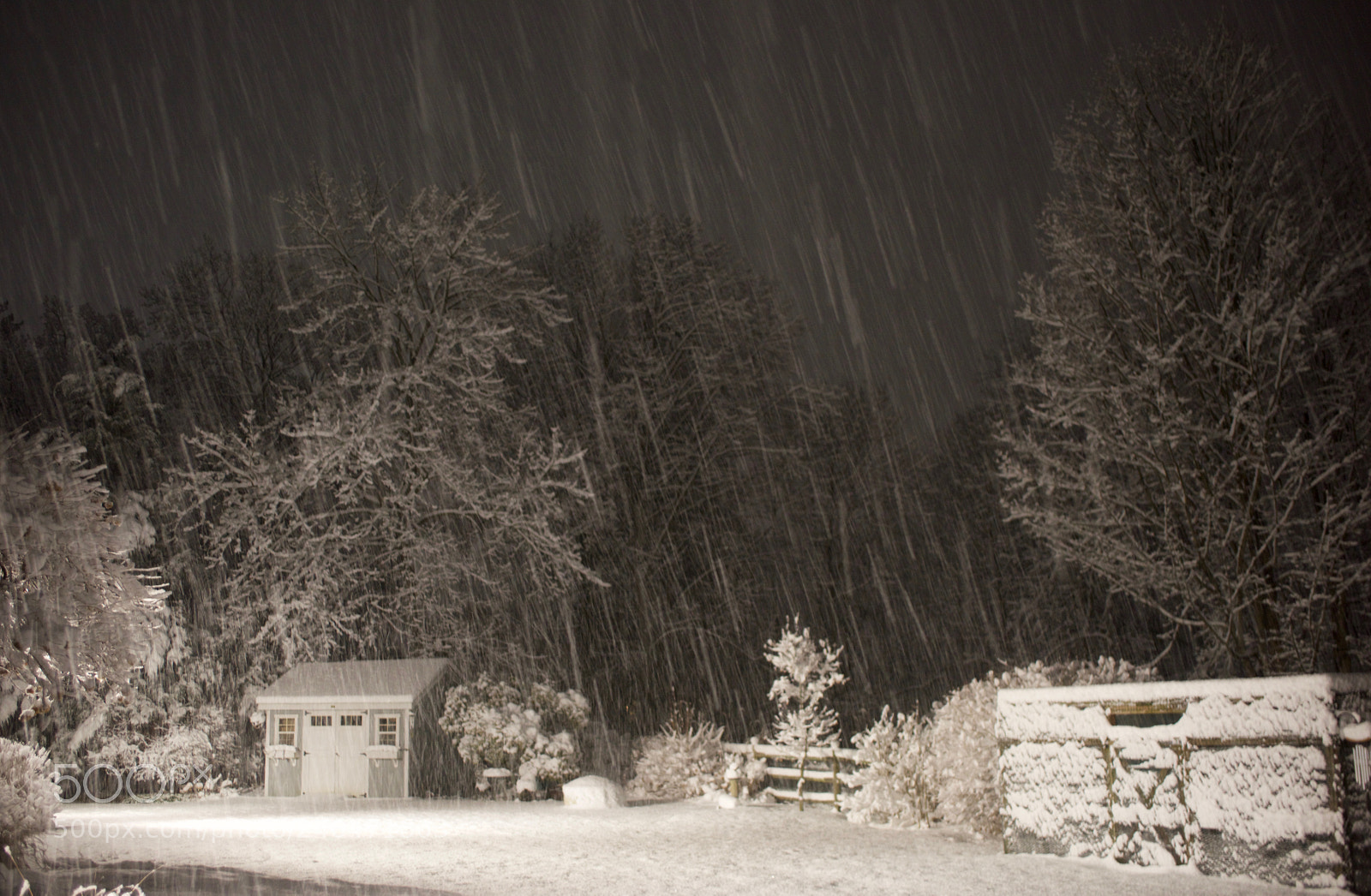 Nikon D810 sample photo. Coming down fast! photography