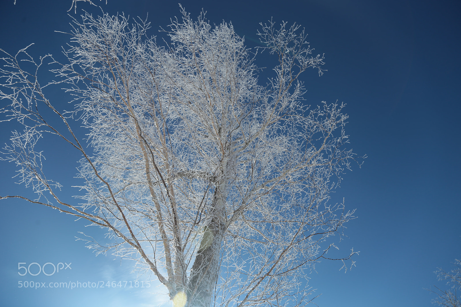 Canon EOS 6D + Canon EF 24-105mm F4L IS USM sample photo. Winter in north china photography