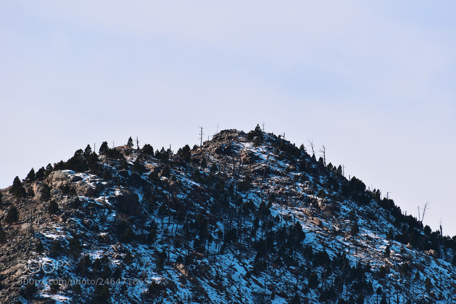 Nikon D5600 sample photo. Untitled photography