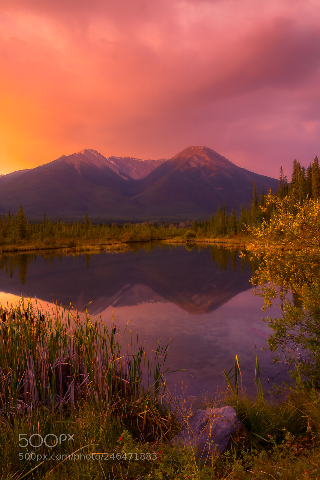 Sony SLT-A77 sample photo. Fall sunrise photography