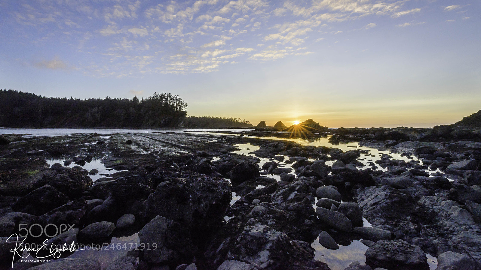 Nikon D600 sample photo. Sunstars and tidepools photography