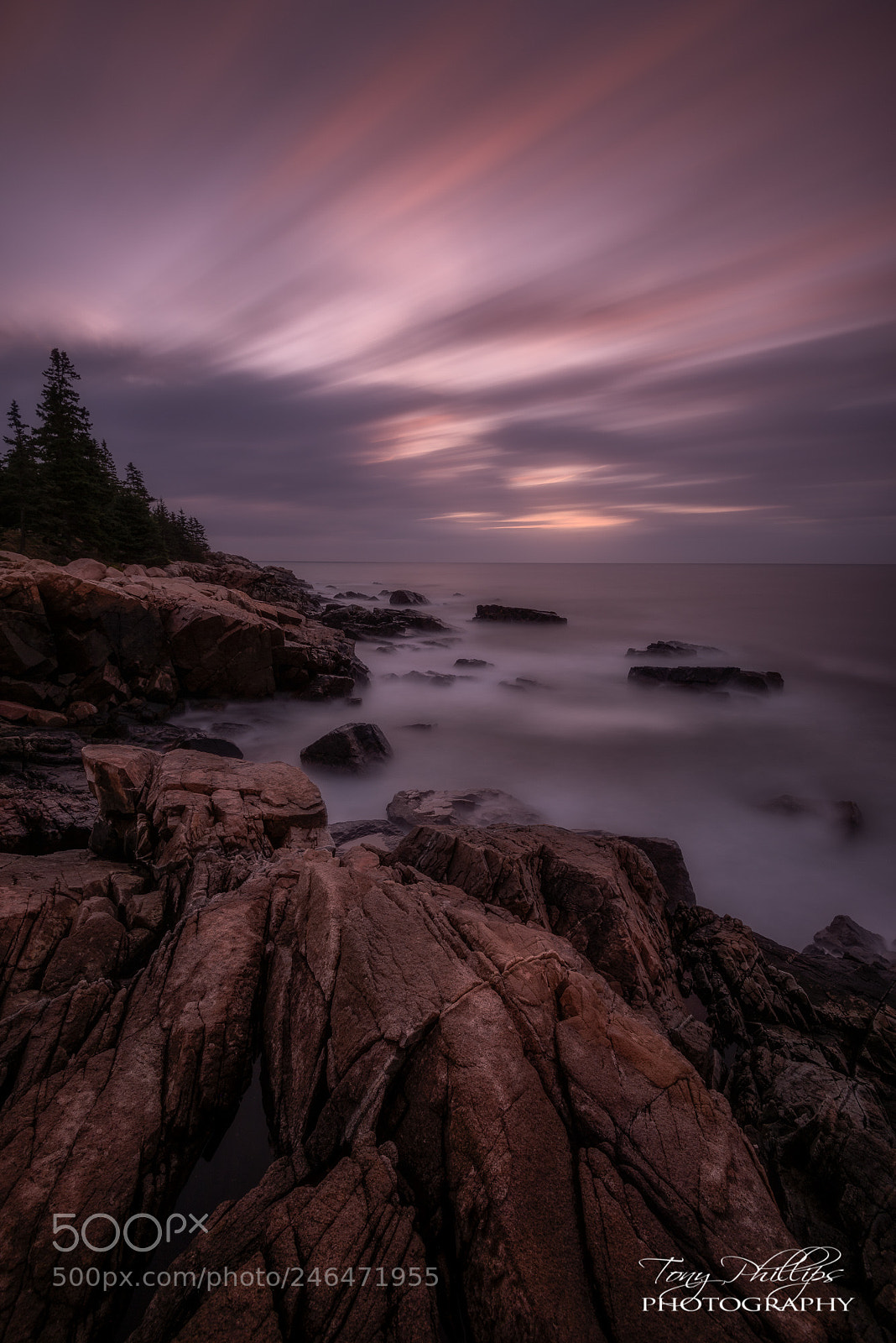 Nikon D810 sample photo. Otter cove sunrise photography