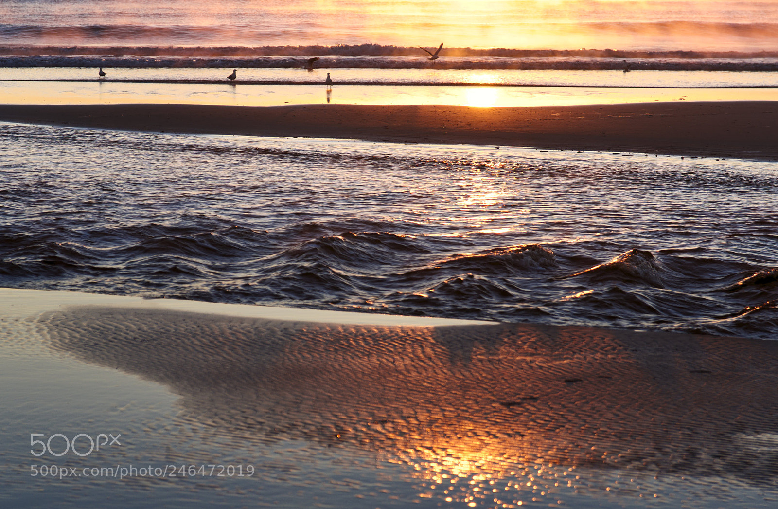 Pentax K-5 sample photo. Waters edge photography