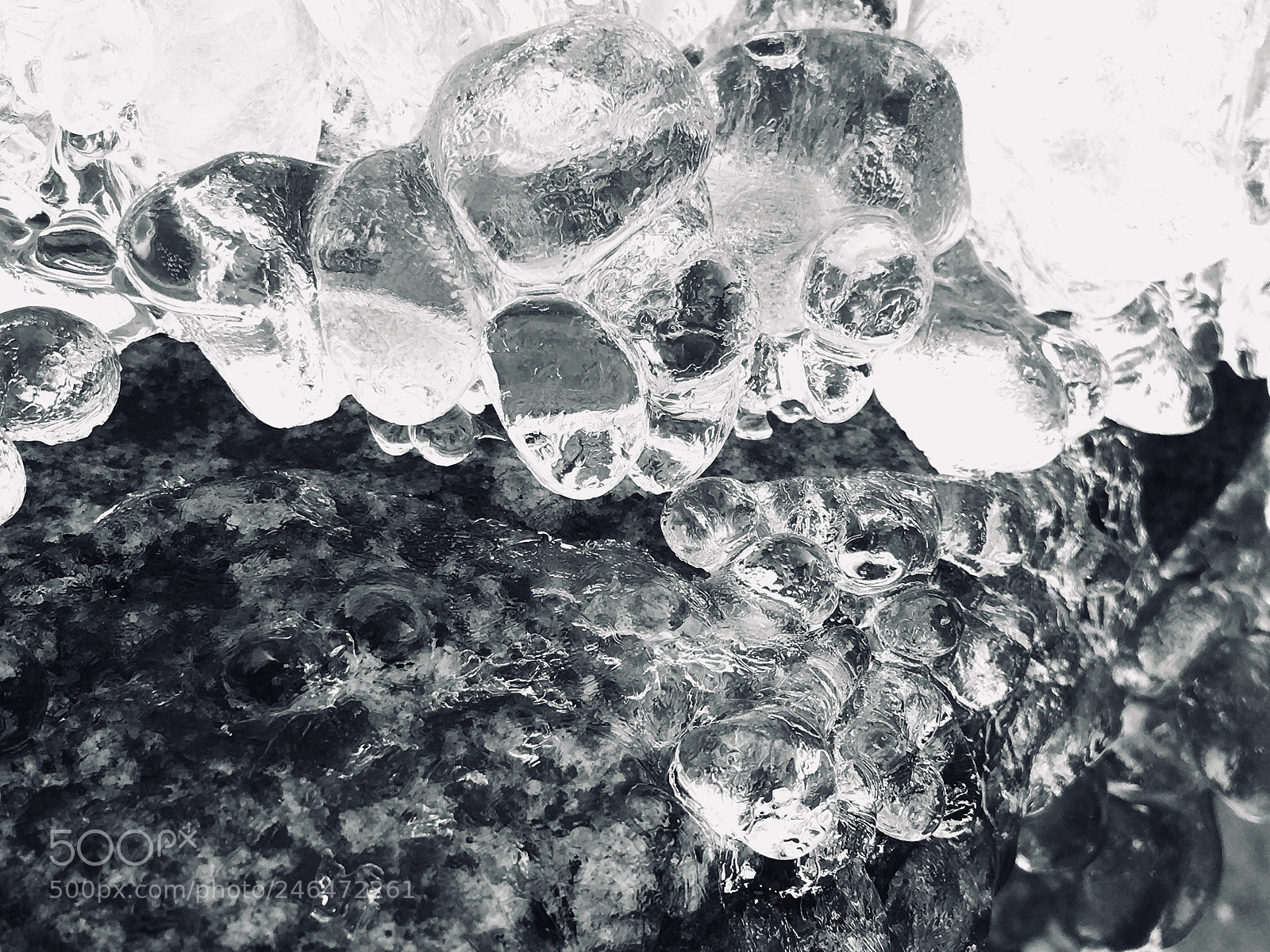 Apple iPhone 6s Plus sample photo. I see...icy photography