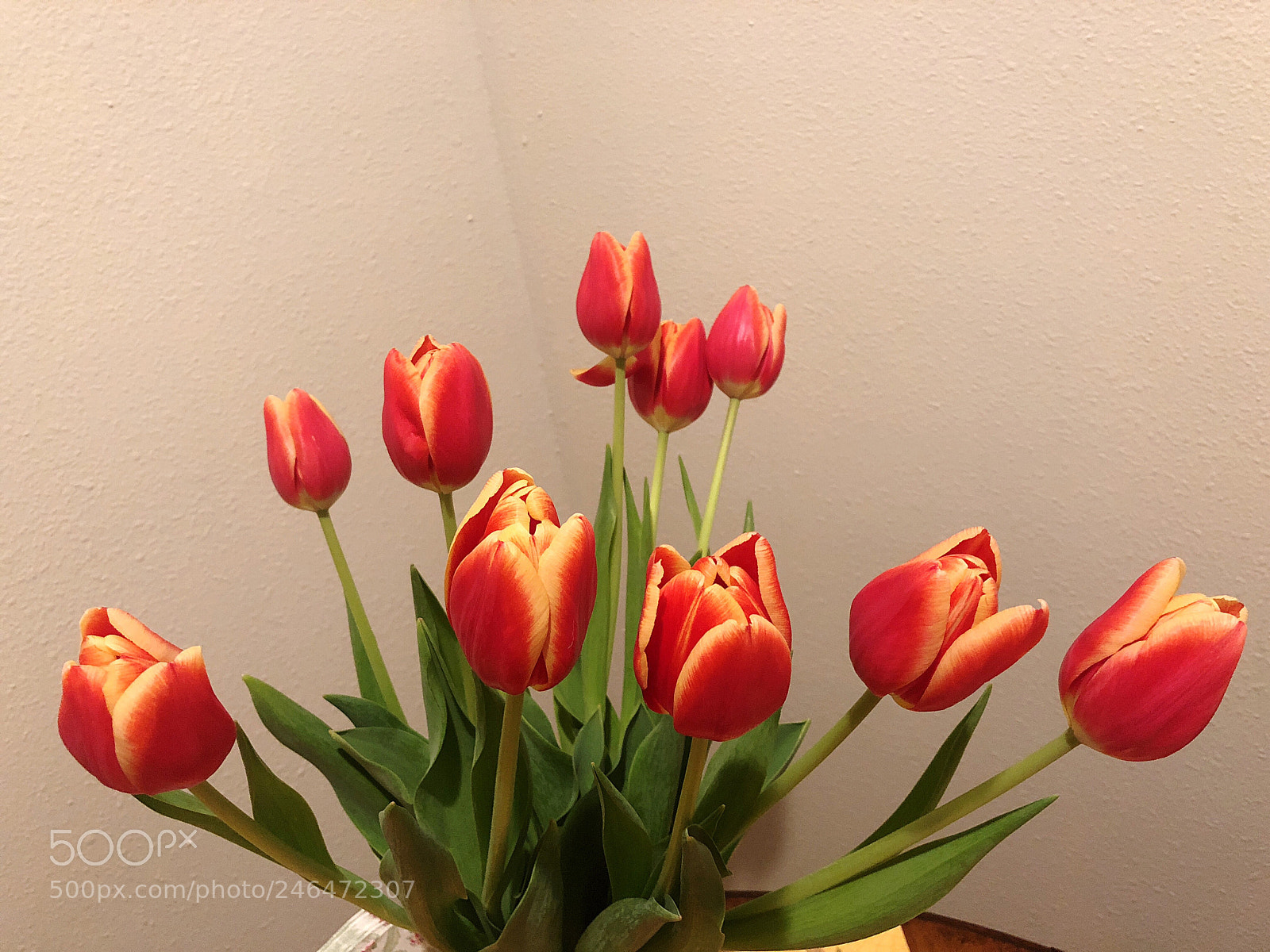 Apple iPhone 8 sample photo. Flowers photography