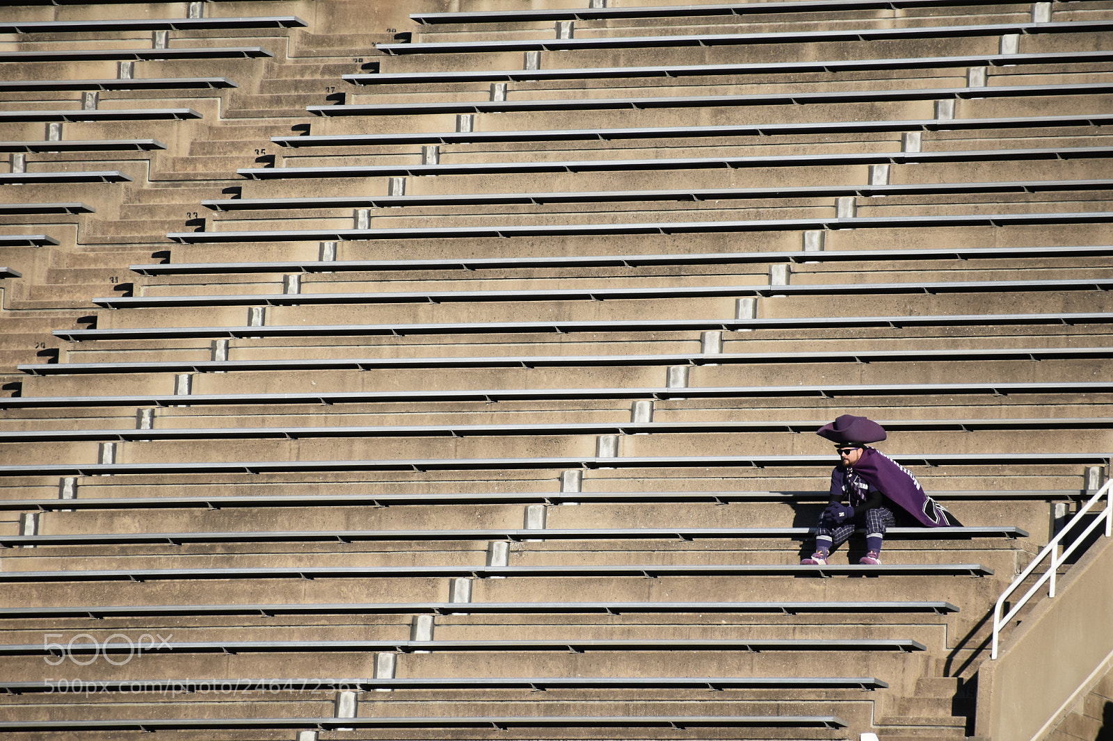 Nikon D5600 sample photo. Lonely fan photography