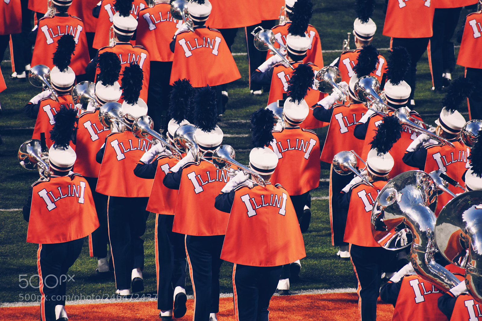 Nikon D5600 sample photo. Marching illini photography