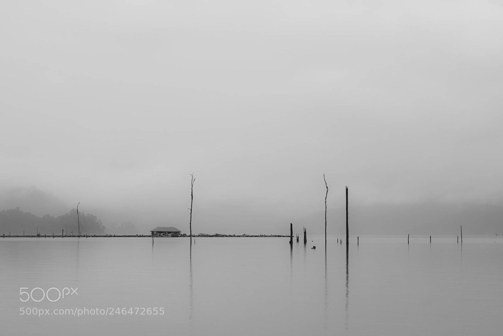 Nikon D610 sample photo. Lake kenyir, malaysia photography