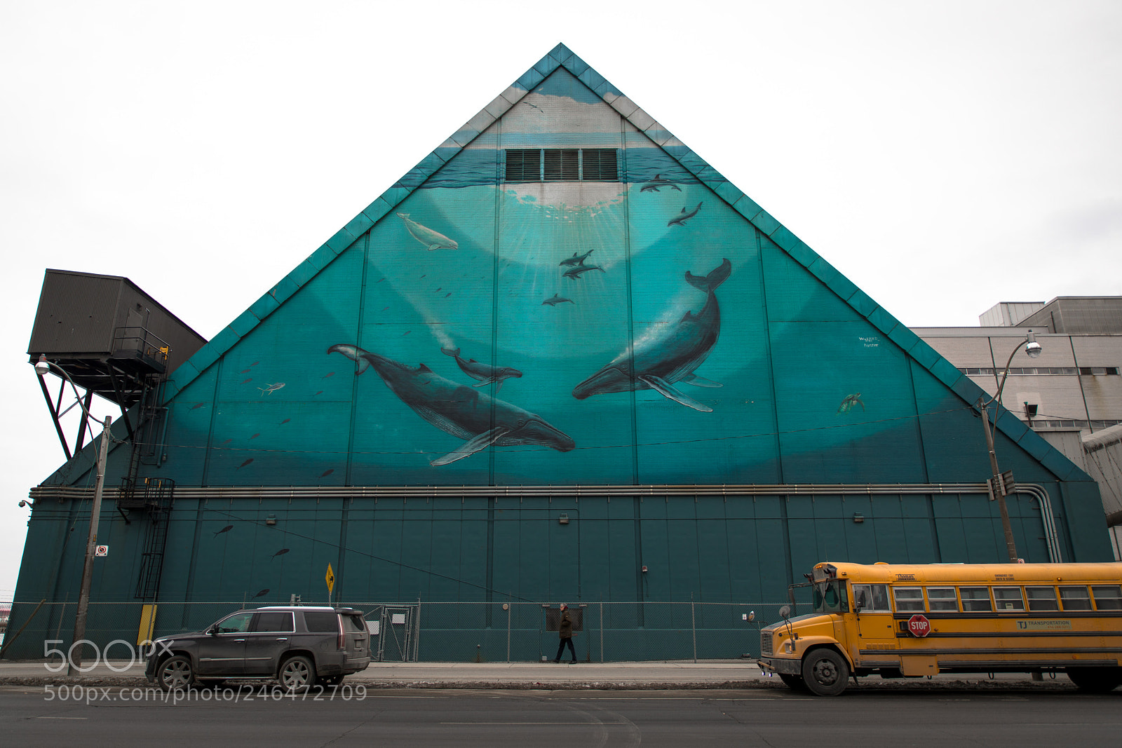 Canon EOS 5D Mark IV sample photo. Whaling wall photography
