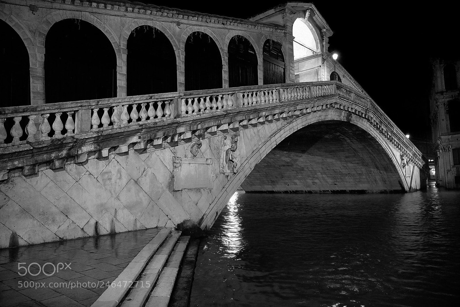 Nikon D800 sample photo. Rialto bridge photography