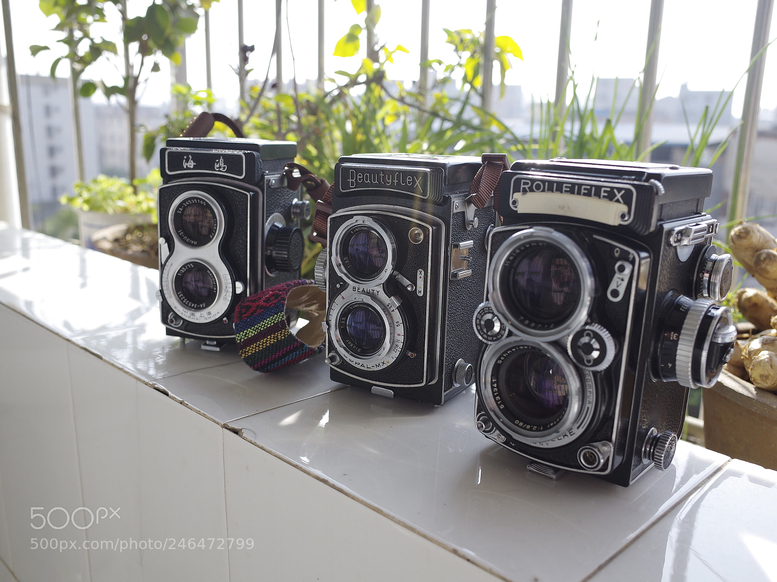 Ricoh GR II sample photo. Tlr photography