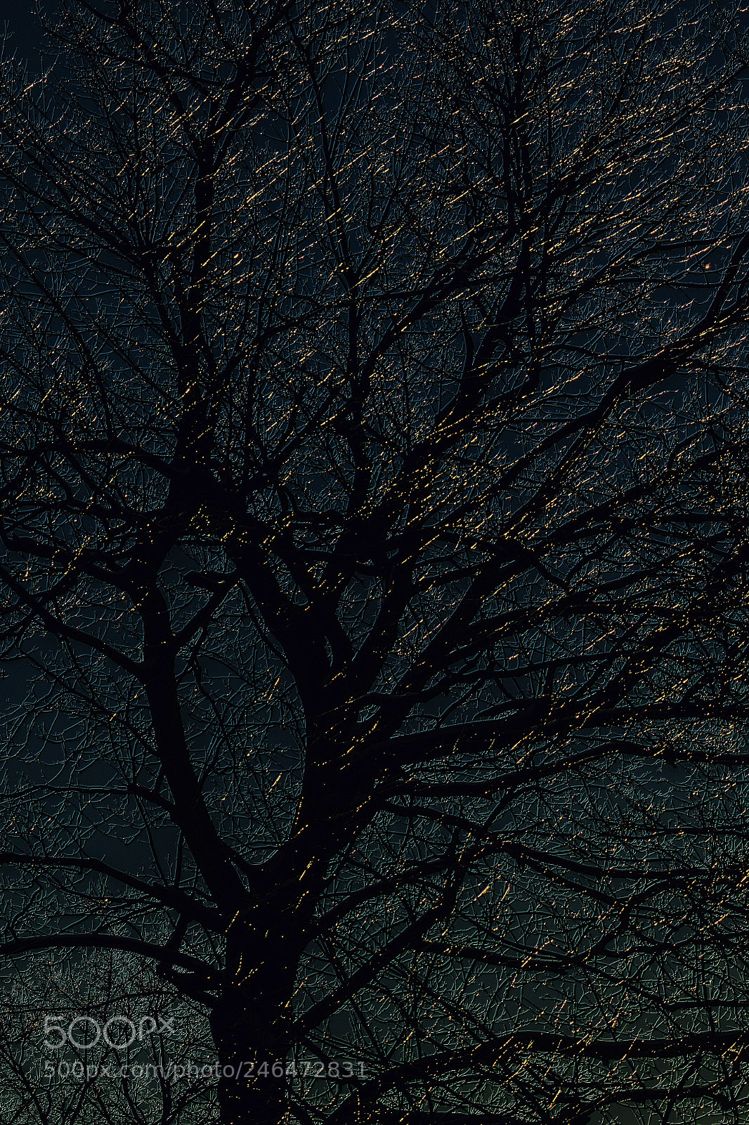 Canon EOS 7D Mark II sample photo. Evening glow of ice photography
