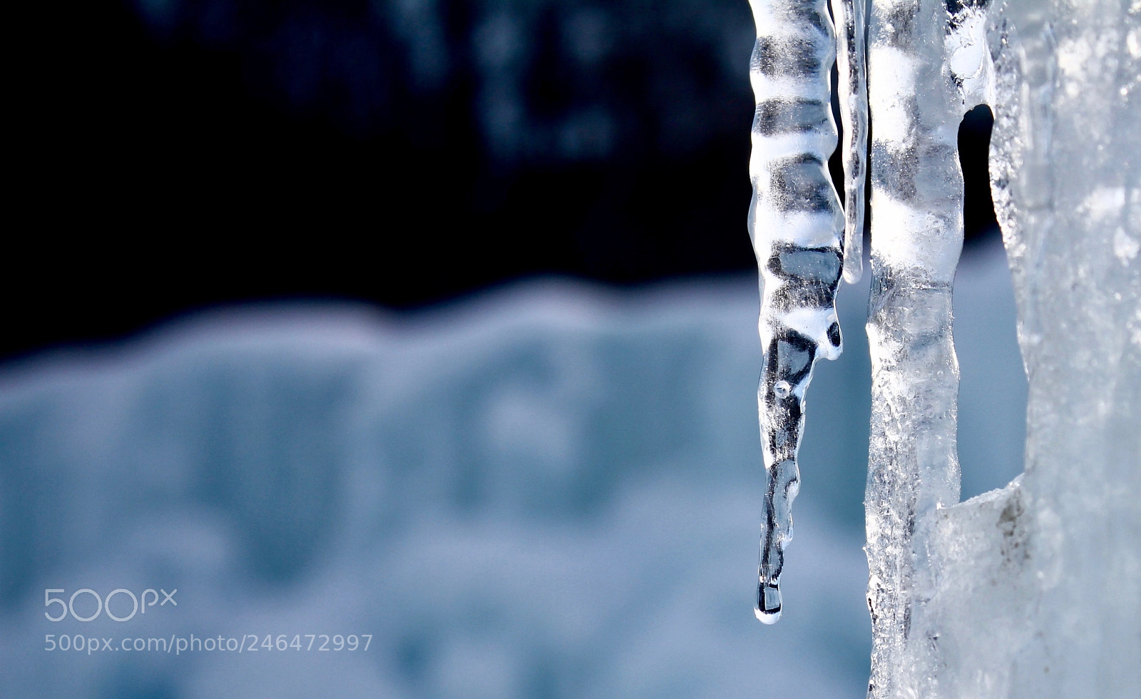 Canon EOS 550D (EOS Rebel T2i / EOS Kiss X4) sample photo. Ice drops photography
