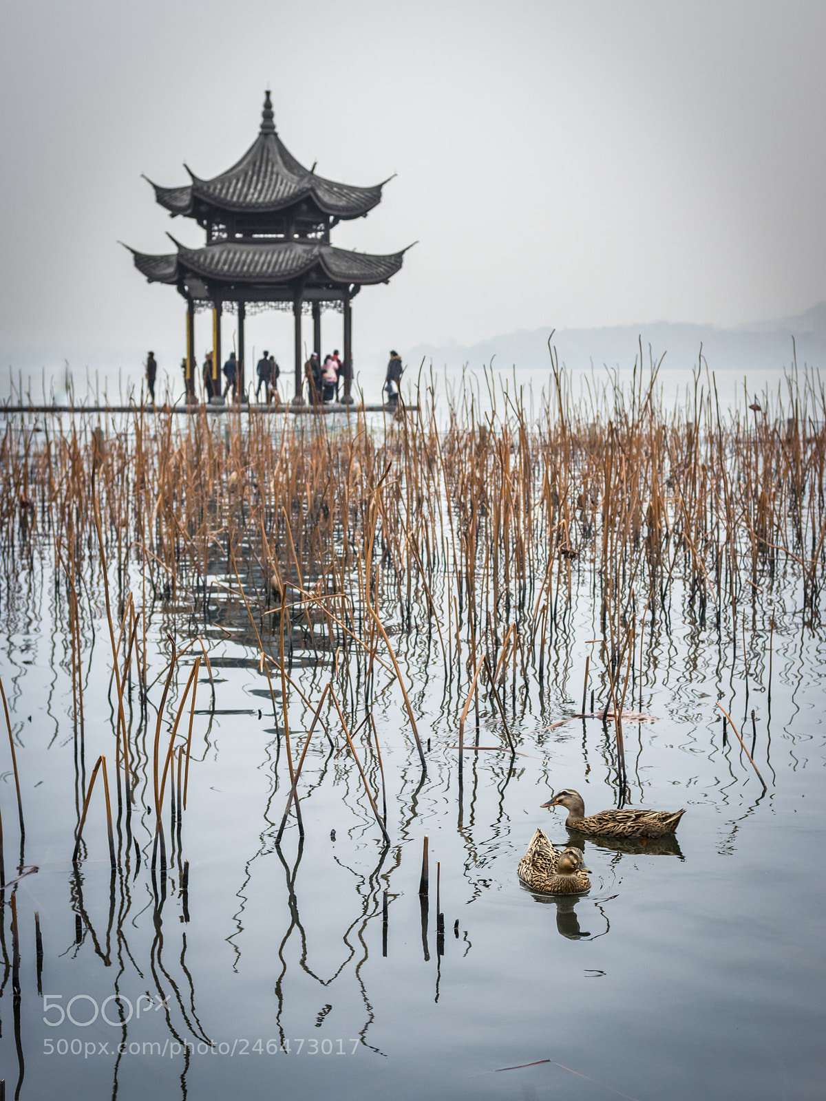 Pentax K-3 II sample photo. West lake winter photography