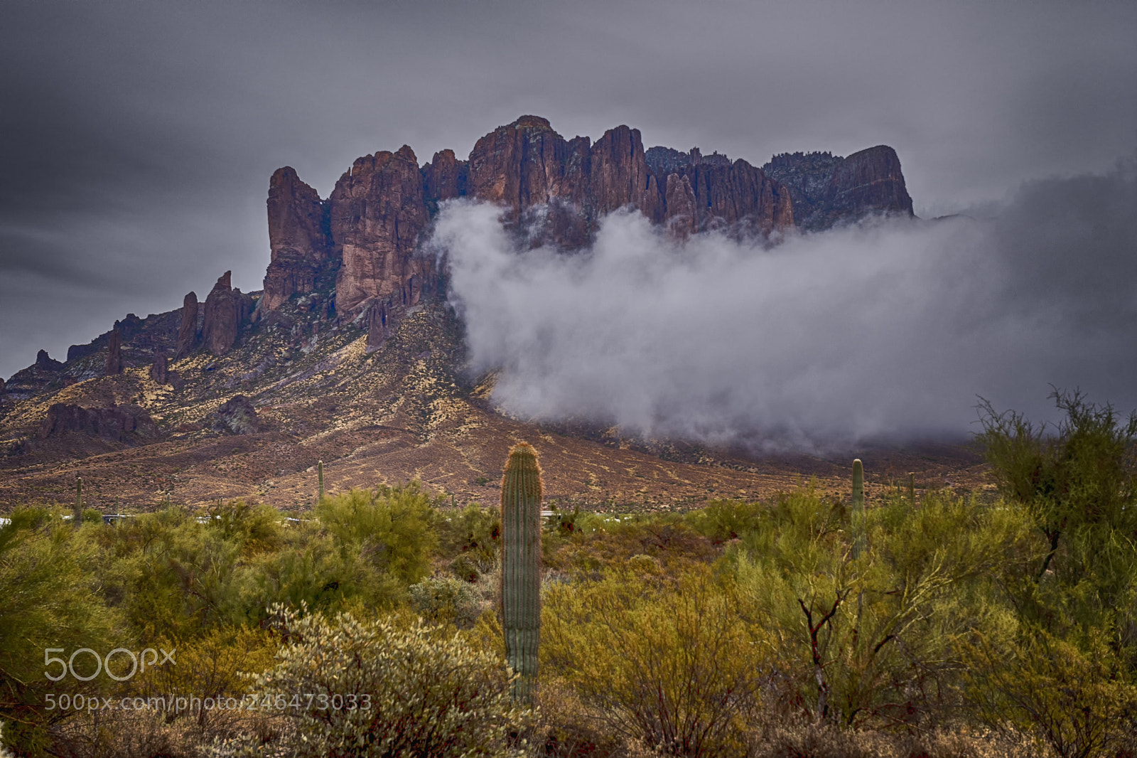 Nikon D500 sample photo. Desert rain#2 photography