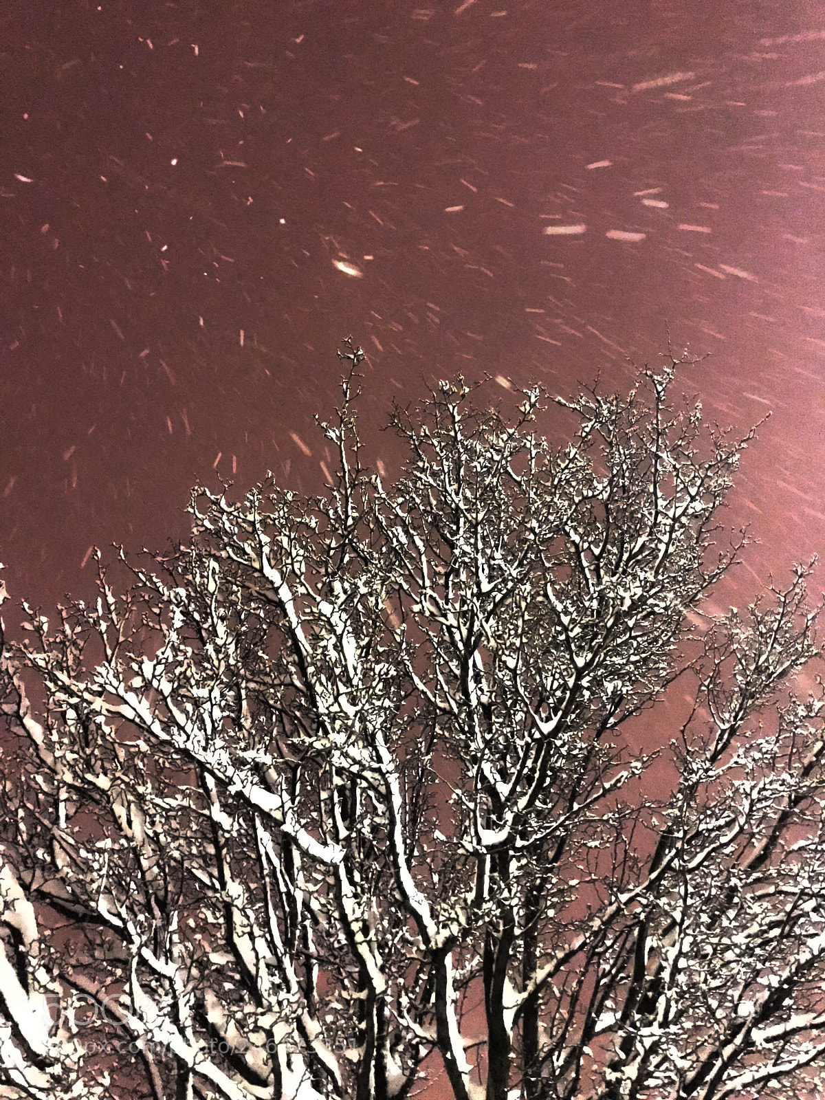 Apple iPhone 7 Plus sample photo. Snow photography