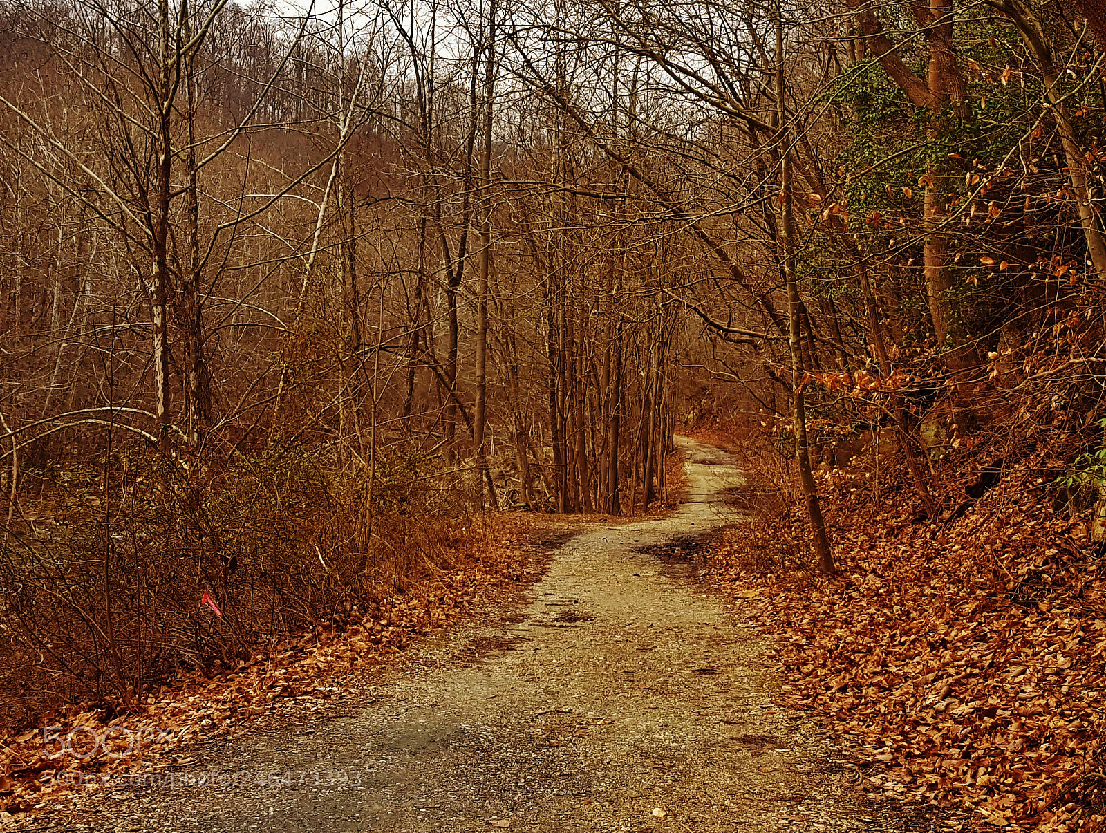 Samsung Galaxy S6 sample photo. River road trail 2018 photography