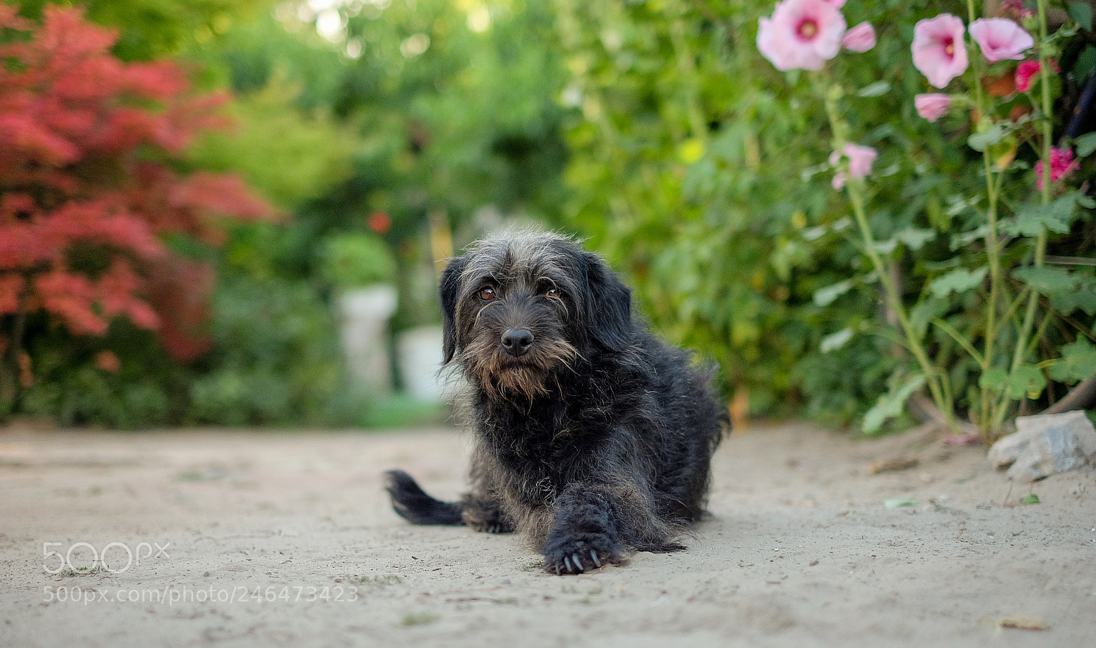 Fujifilm X-A1 sample photo. Untitled photography