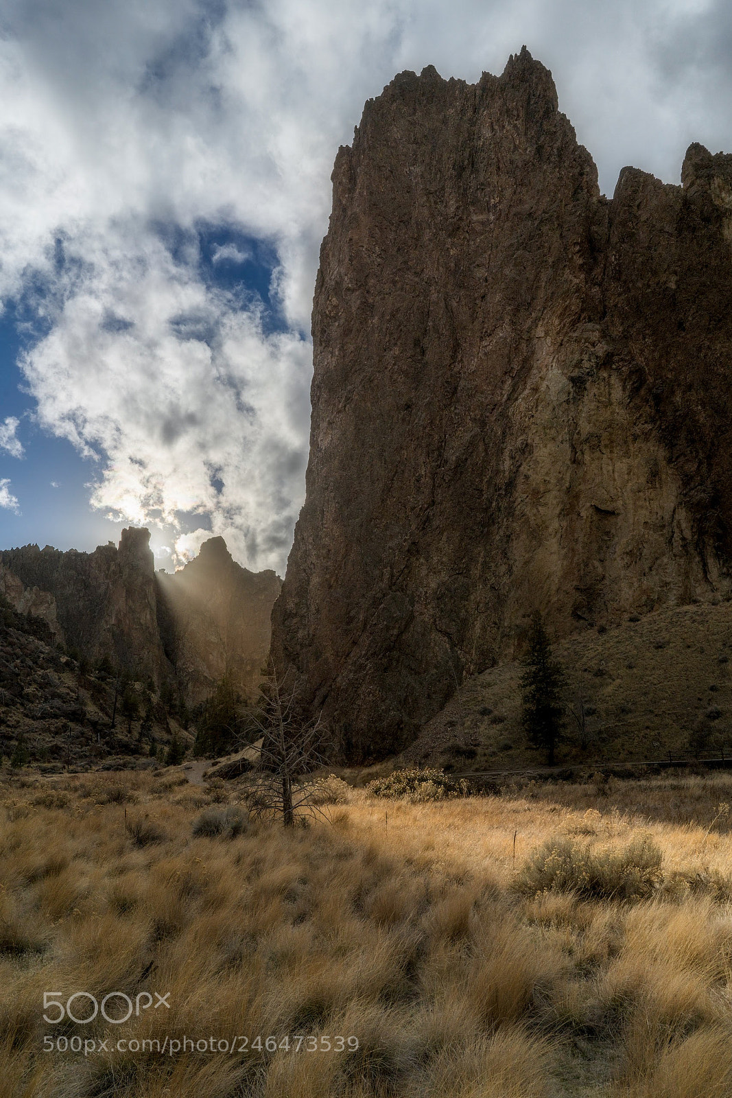 Sony a7R II sample photo. Smith rock state park photography