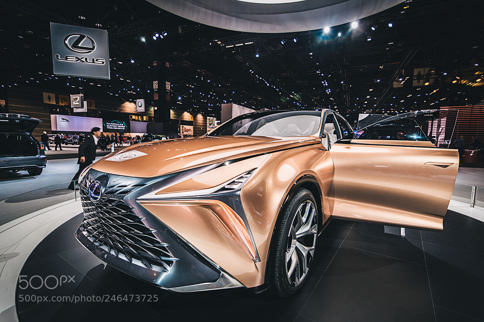 Nikon D7200 sample photo. Lexus lf -1 photography