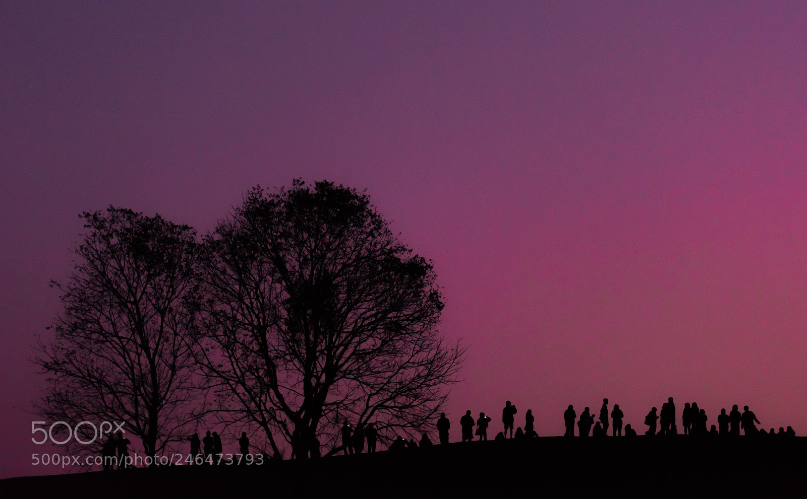 Nikon D810 sample photo. Shadow people photography