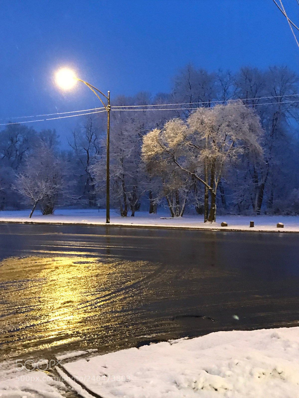 Apple iPhone 7 sample photo. Dusting of snow photography