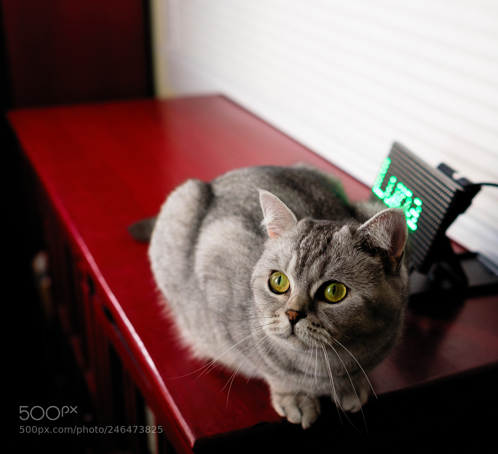 Fujifilm X-T2 sample photo. Luna photography