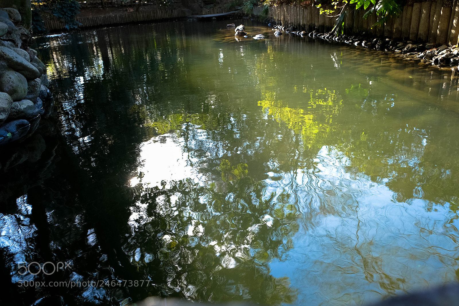 Fujifilm X-T2 sample photo. Kumagaya saitama photography