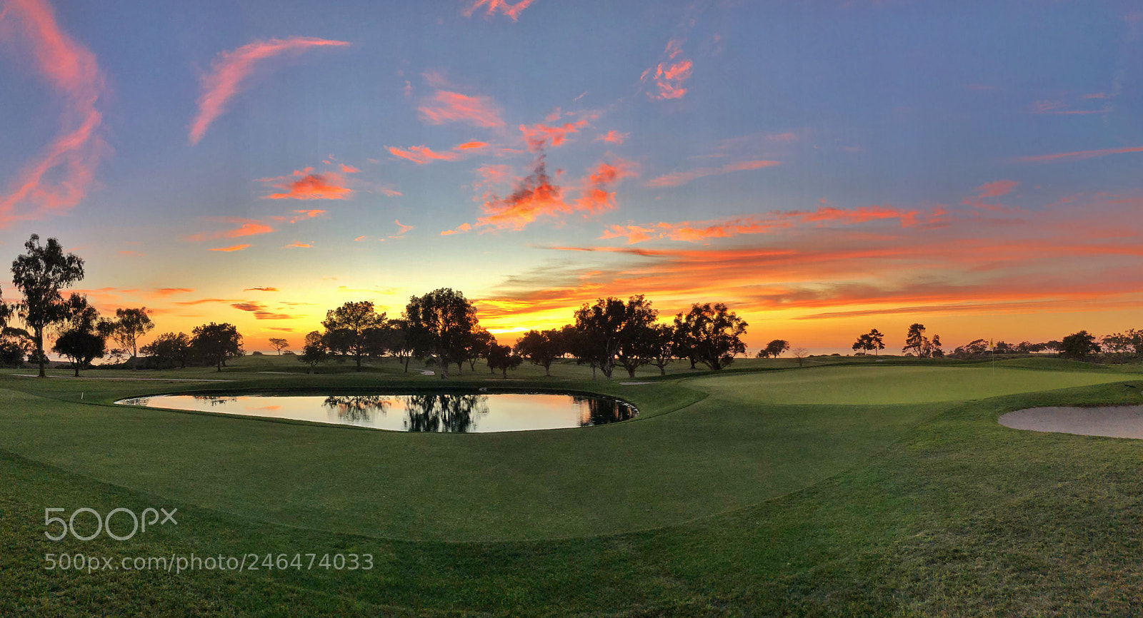 Apple iPhone 8 Plus sample photo. The torrey pines golf photography