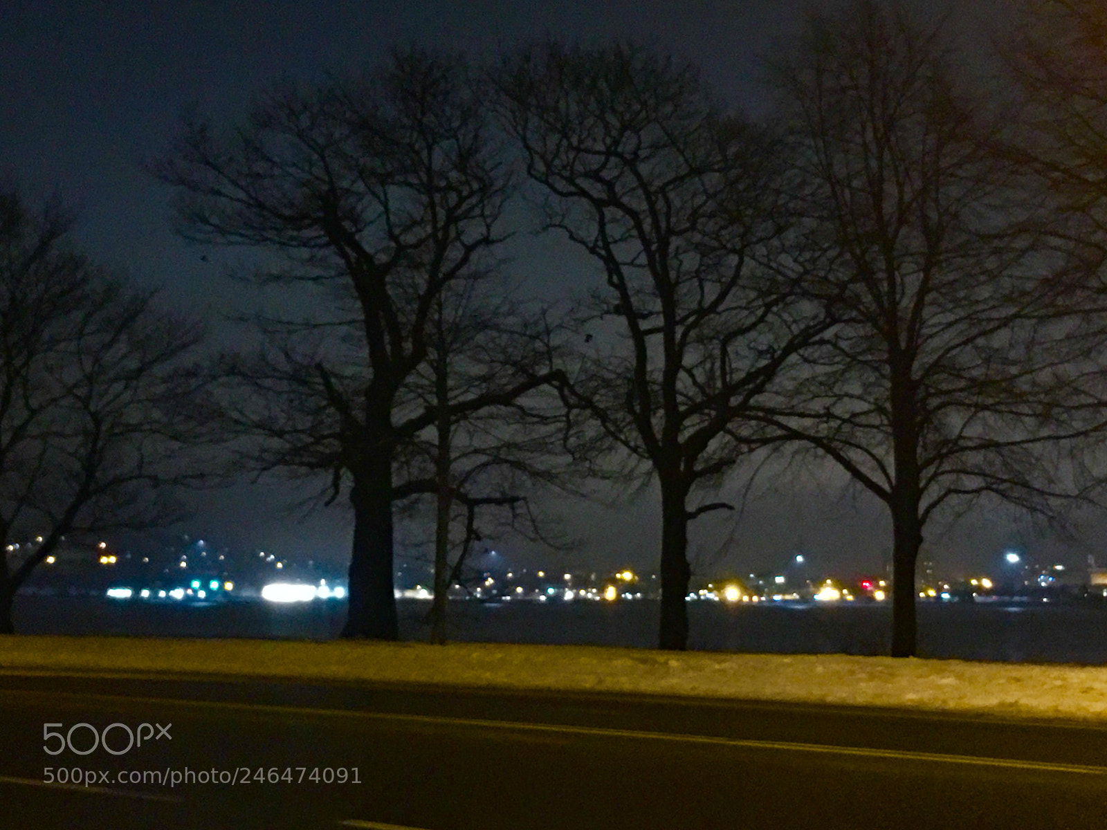 Apple iPhone 6s Plus sample photo. Night trees photography