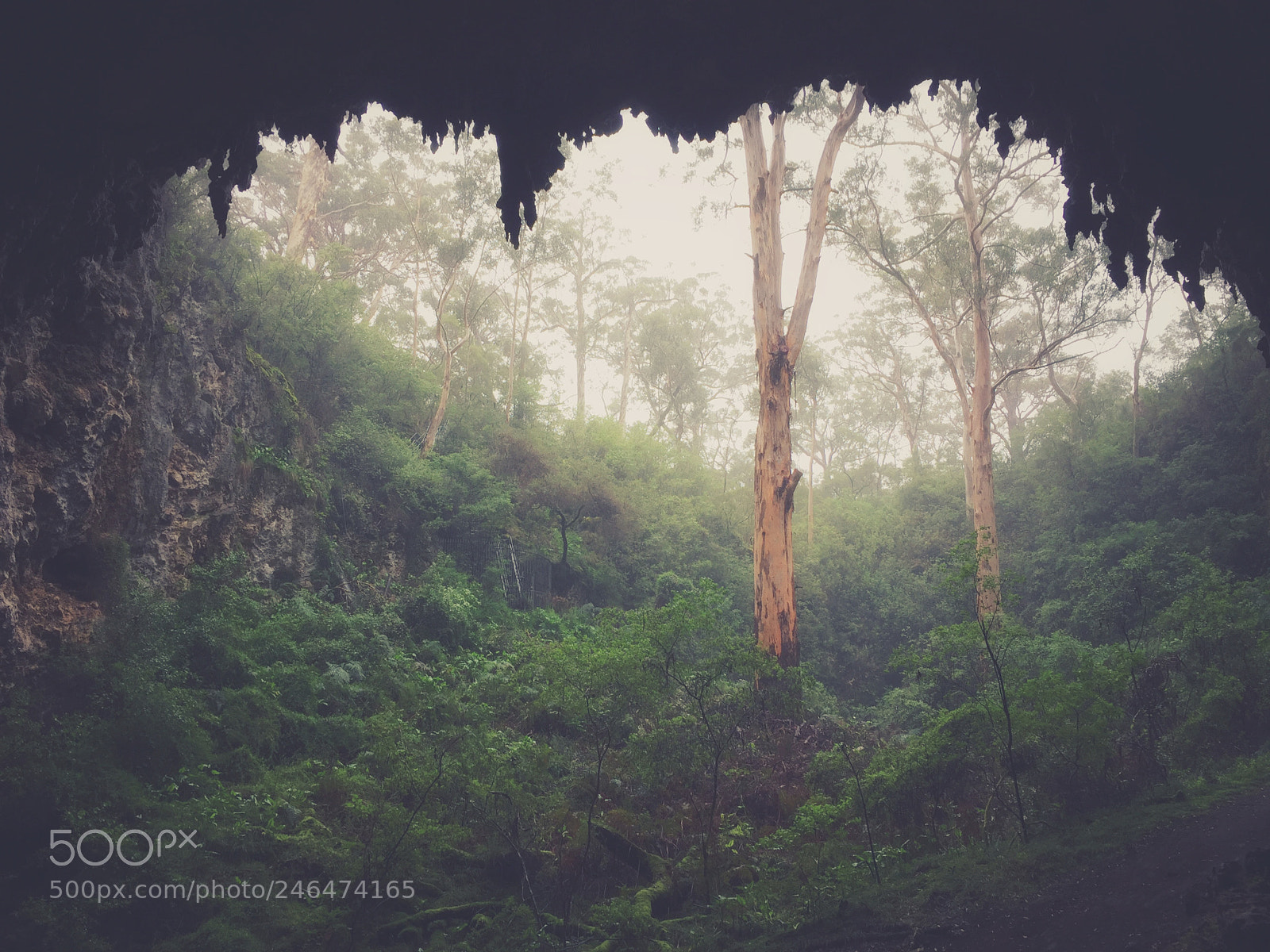 Apple iPhone 6 sample photo. Mammoth cave, margaret river photography