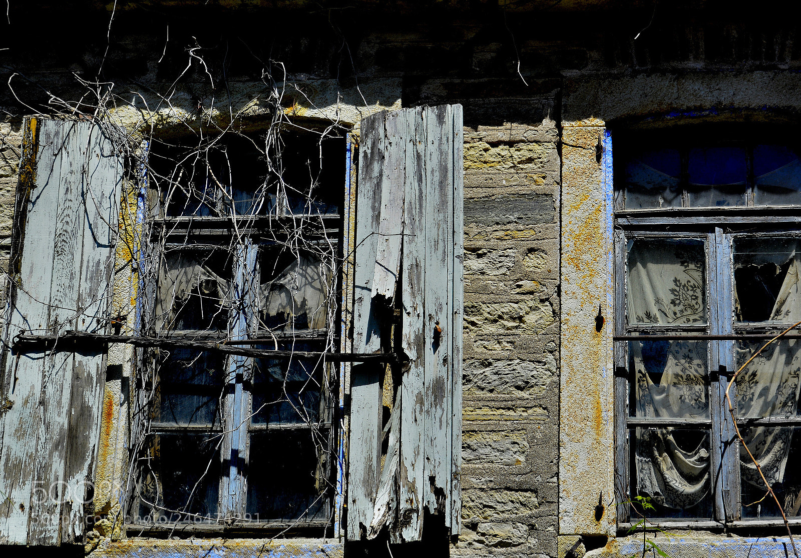 Nikon D5200 sample photo. Negation of will photography