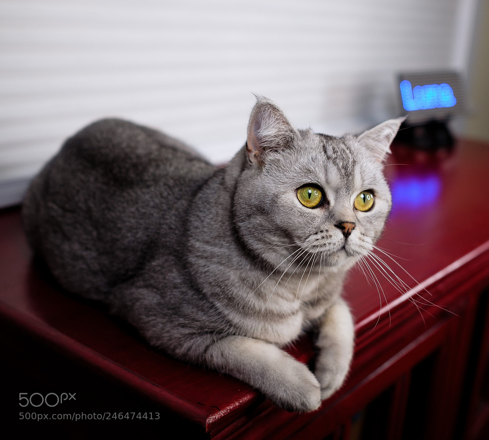 Fujifilm X-T2 sample photo. Luna photography