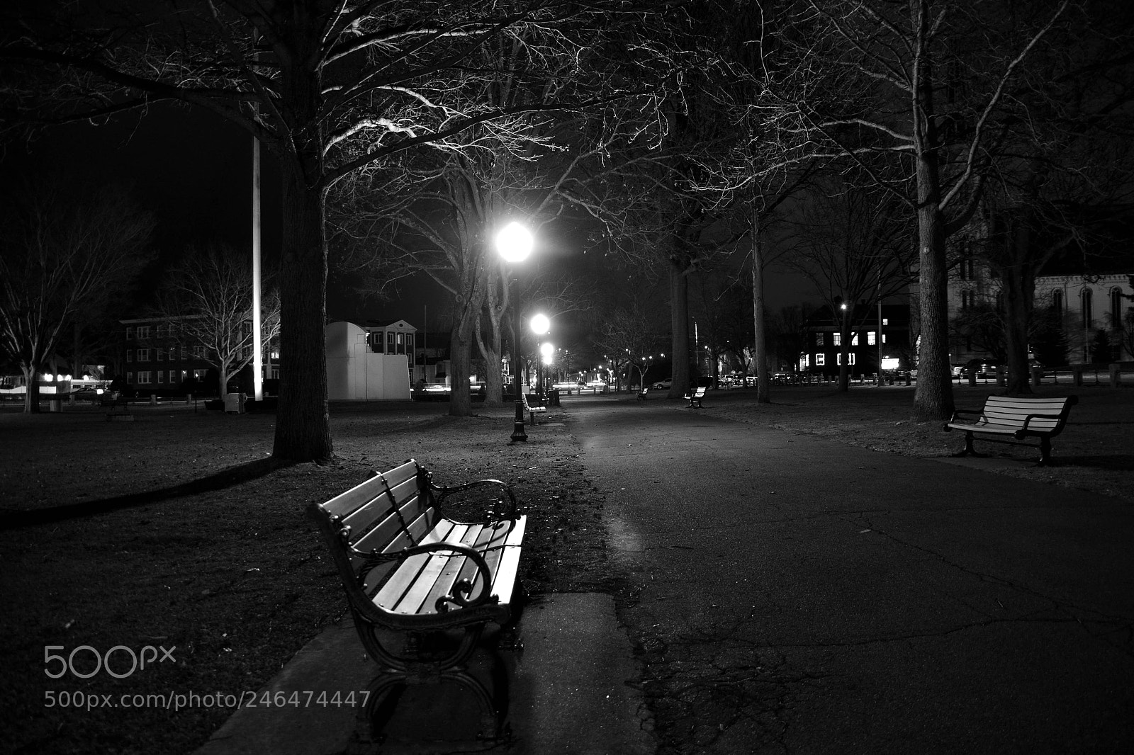 Nikon D3100 sample photo. Park bench at night photography