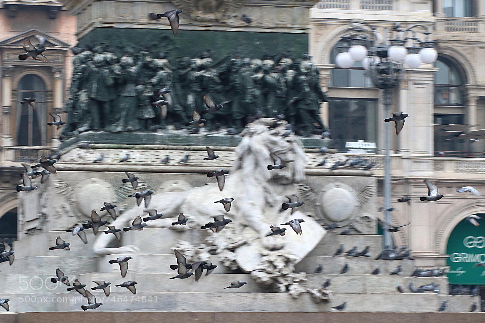 Canon EOS 760D (EOS Rebel T6s / EOS 8000D) sample photo. Pigeons in flight photography