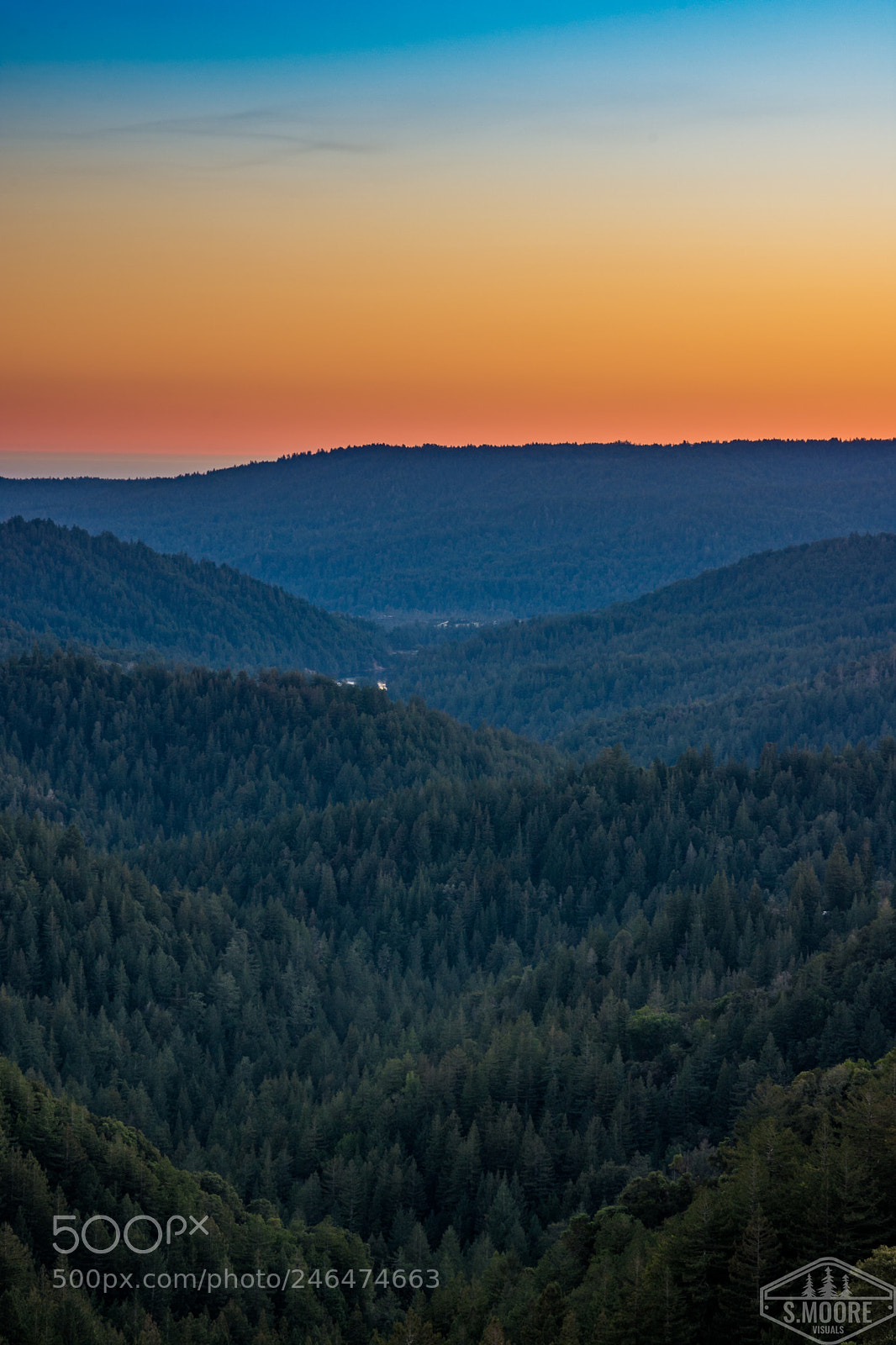 Nikon D7200 sample photo. Rolling landscape photography
