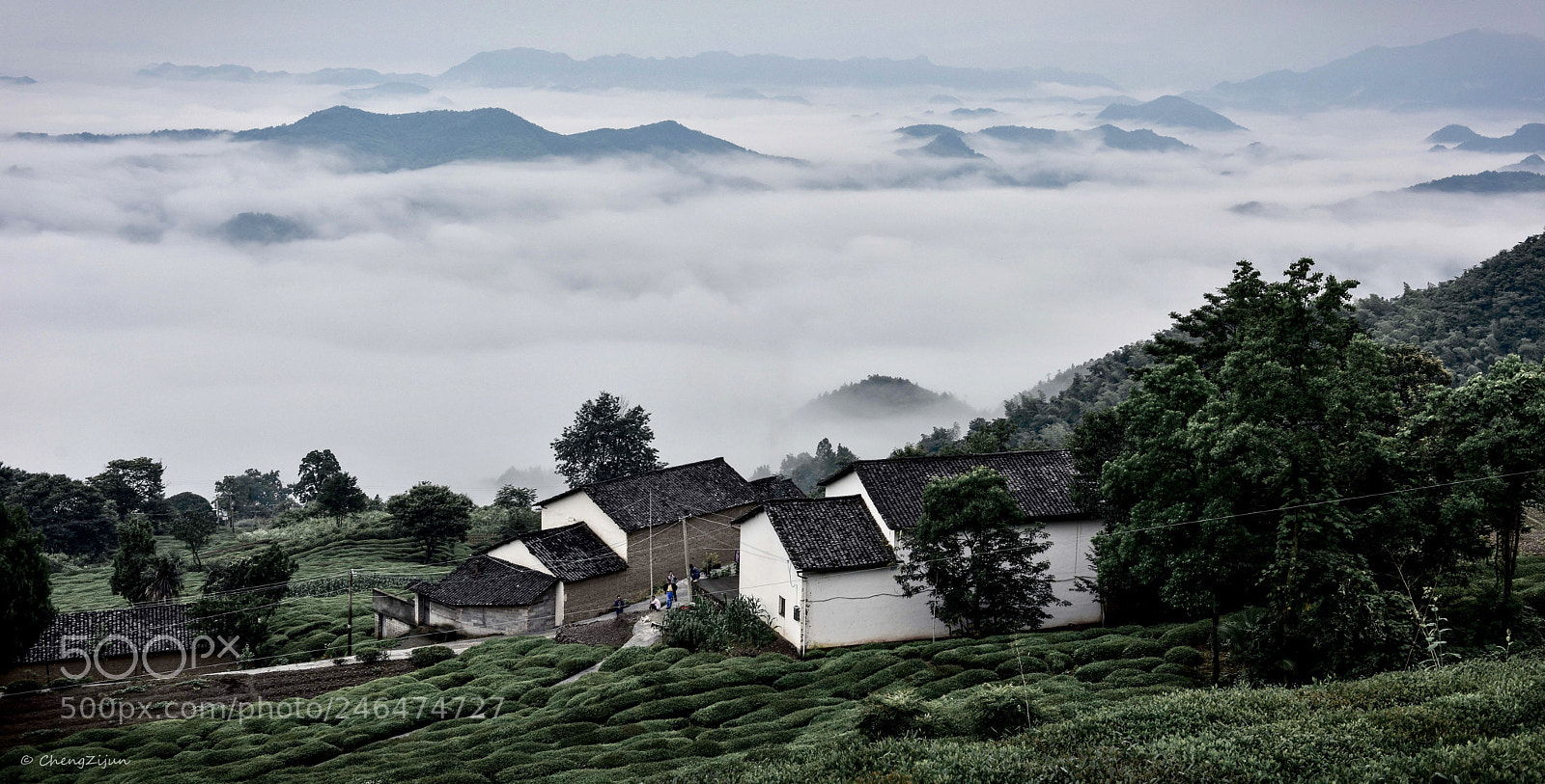 Nikon D810 sample photo. 晨海 photography