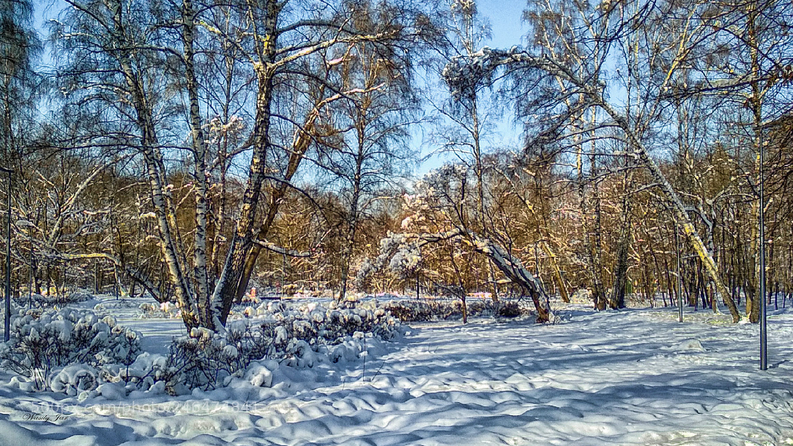 Xiaomi Redmi 4X sample photo. Прогулки по парку. photography