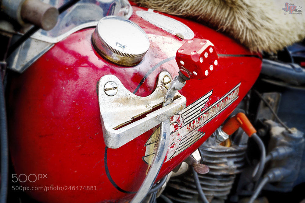 Canon EOS 7D sample photo. 1936 harley davidson el photography