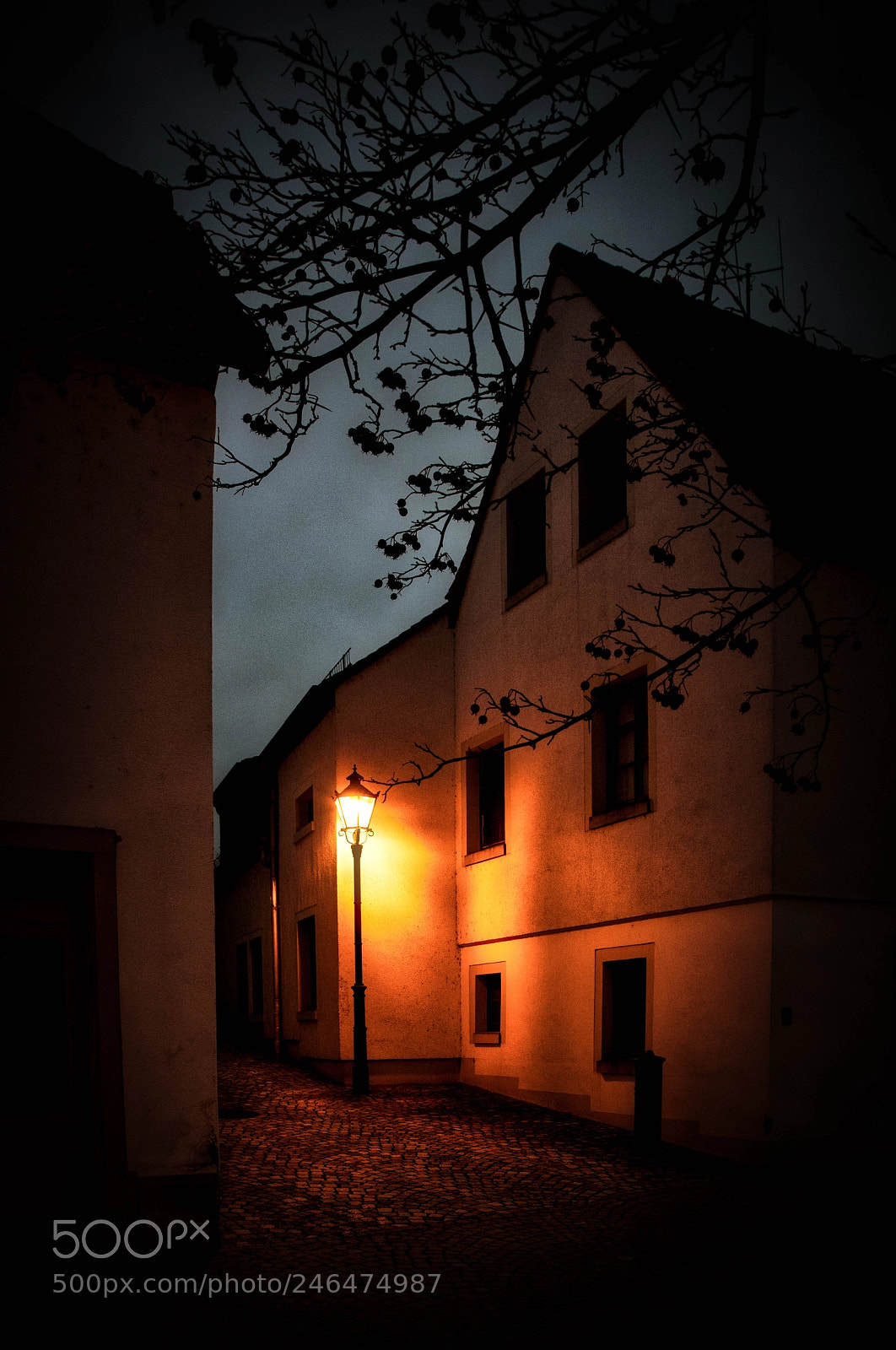 Nikon D810 sample photo. Quiet evening in riesa photography