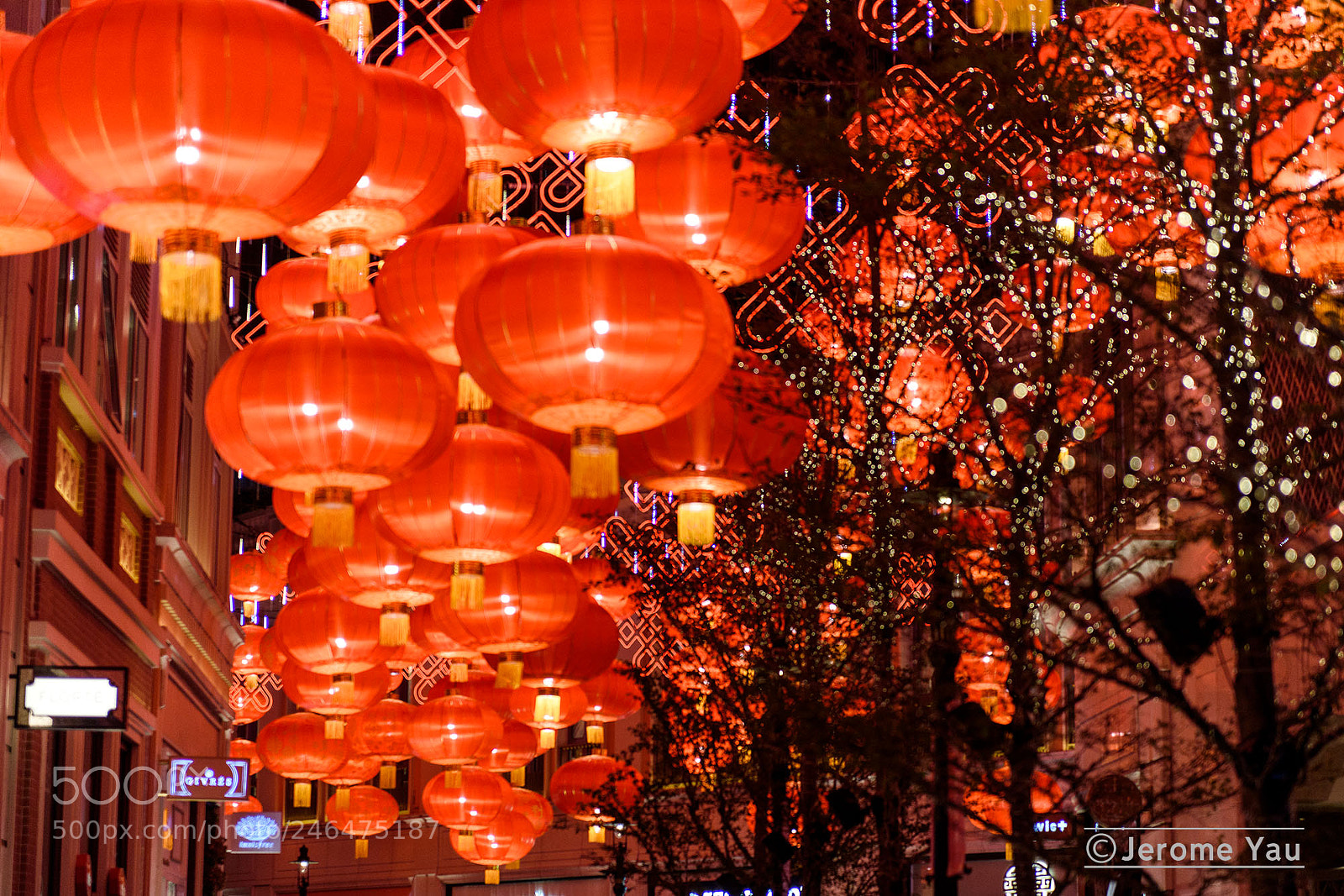 Nikon D810 sample photo. Festive on the ave photography