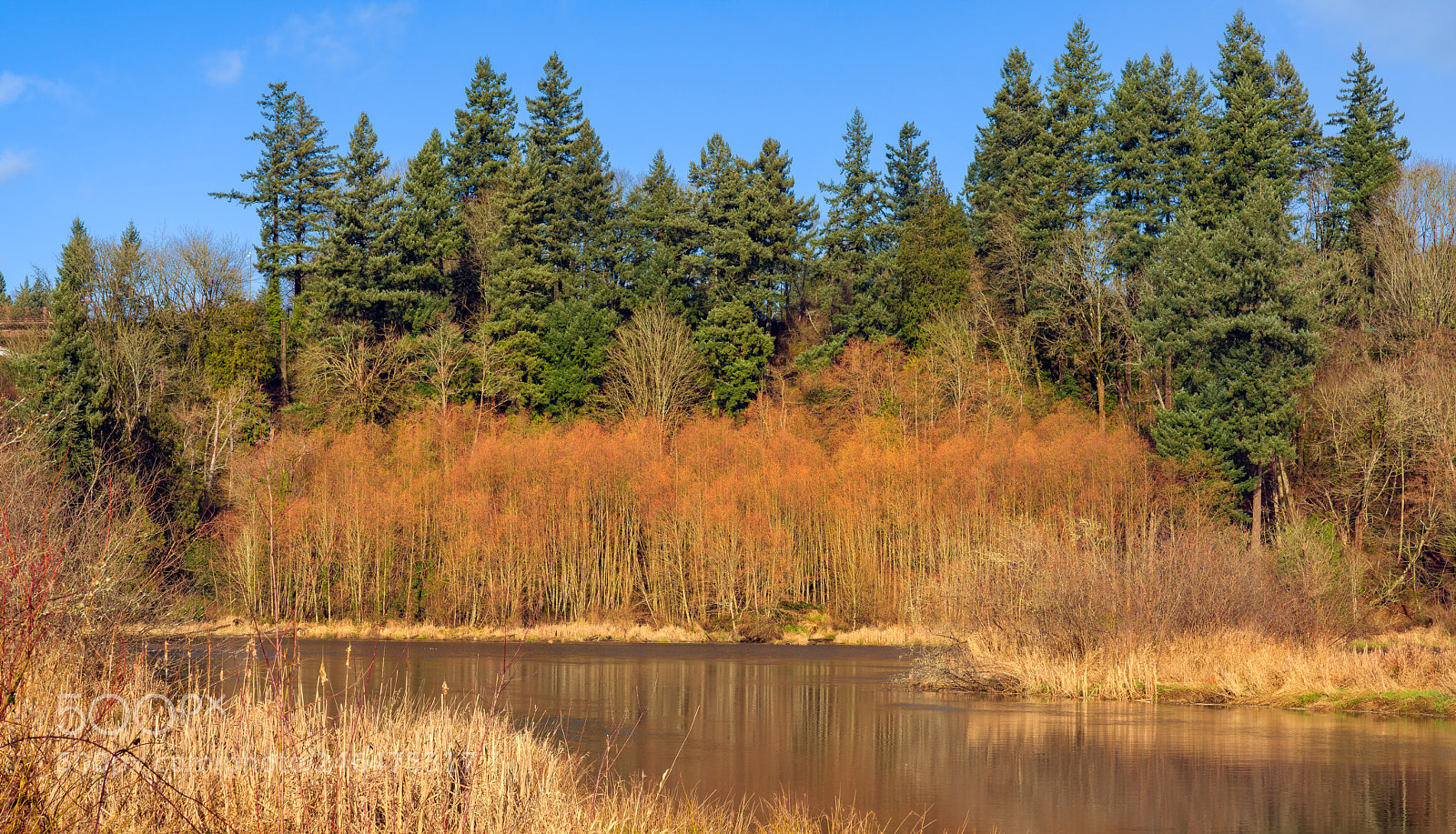 Sony a7R II sample photo. Deschutes river photography