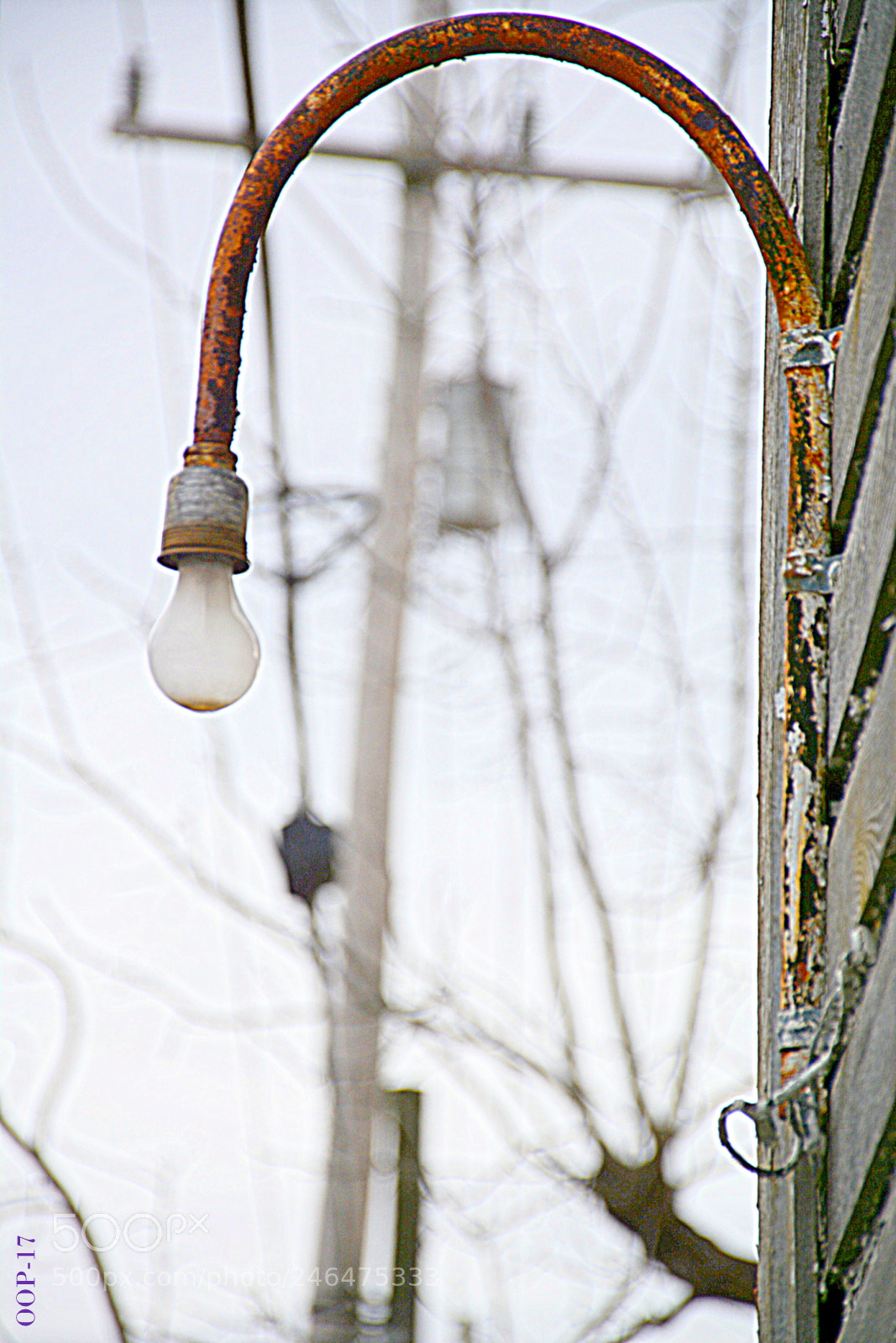 Nikon D7100 sample photo. Dsc photography