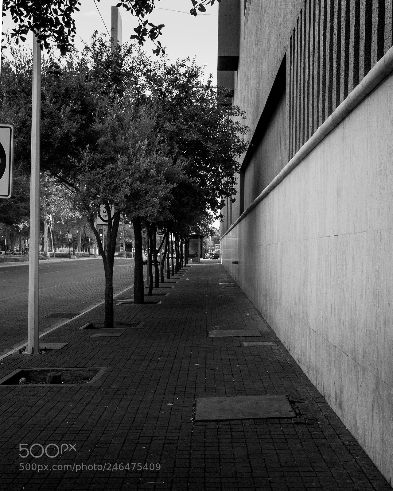 Nikon D7200 sample photo. Camino photography